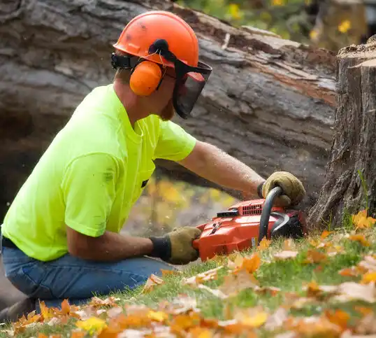 tree services Bremen